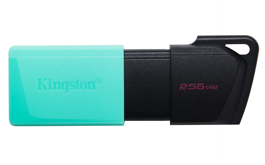 Kingston DTXM/256GB product image