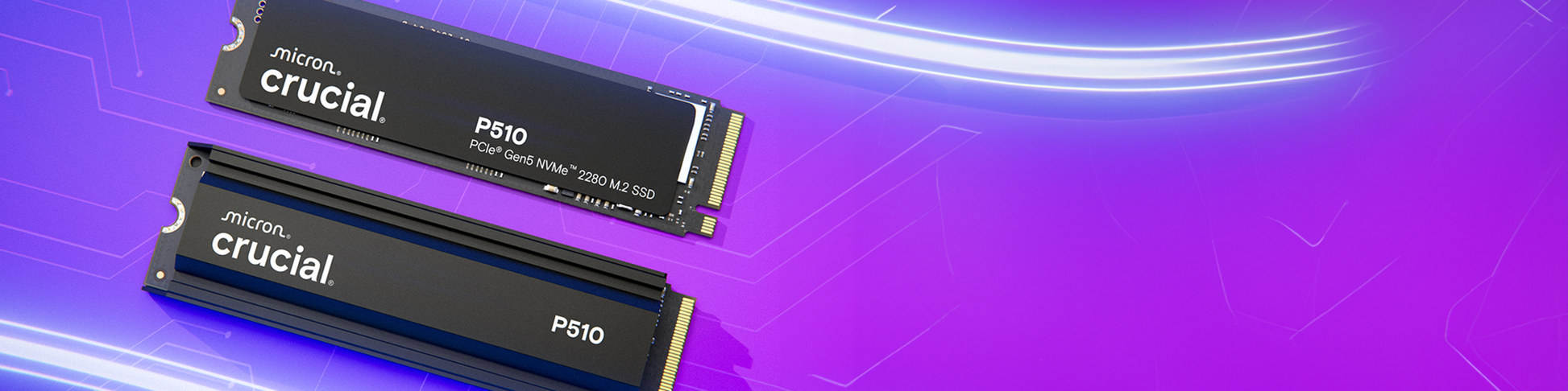 Crucial CT1000P510SSD5 product image