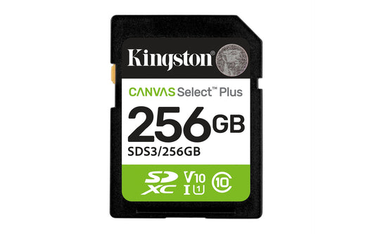 Kingston SDS3/256GB product image