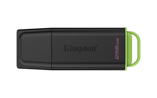 Kingston DTXG2/256GB product image