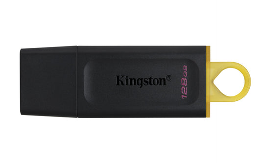 Kingston DTX/128GB Flash Memory