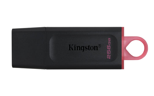 Kingston DTX/256GB Flash Memory